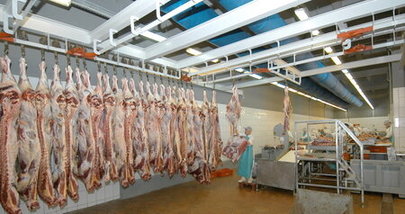 Дезинсекция на мясокомбинате в Нахабино, цены на услуги