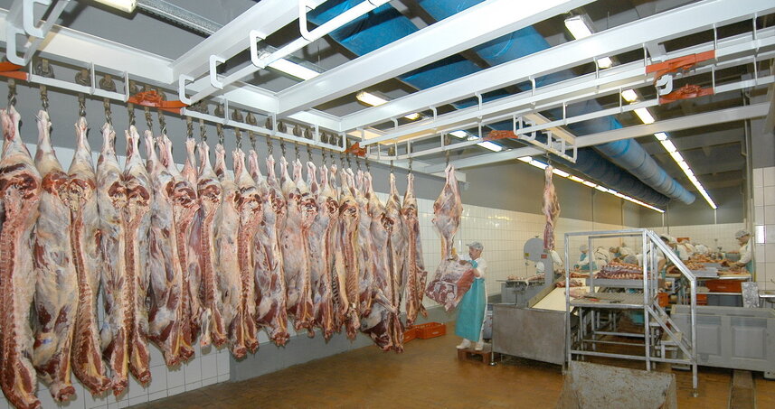 Дезинсекция на мясокомбинате в Нахабино, цены на услуги